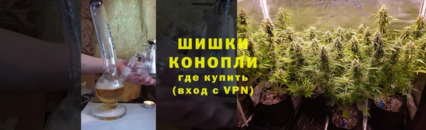PSILOCYBIN Алзамай