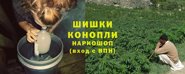 PSILOCYBIN Алзамай