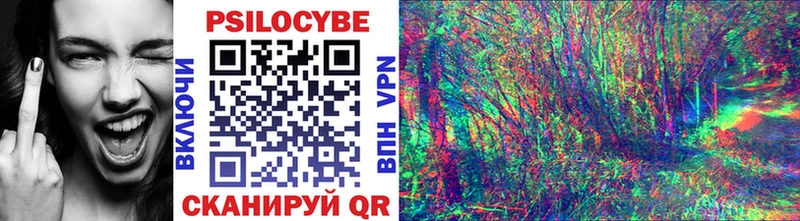 Галлюциногенные грибы Psilocybine cubensis Безенчук